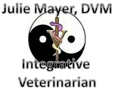 Julie Myer DVM Logo