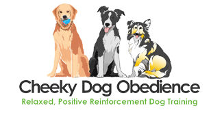 Cheeky Dog Obedience