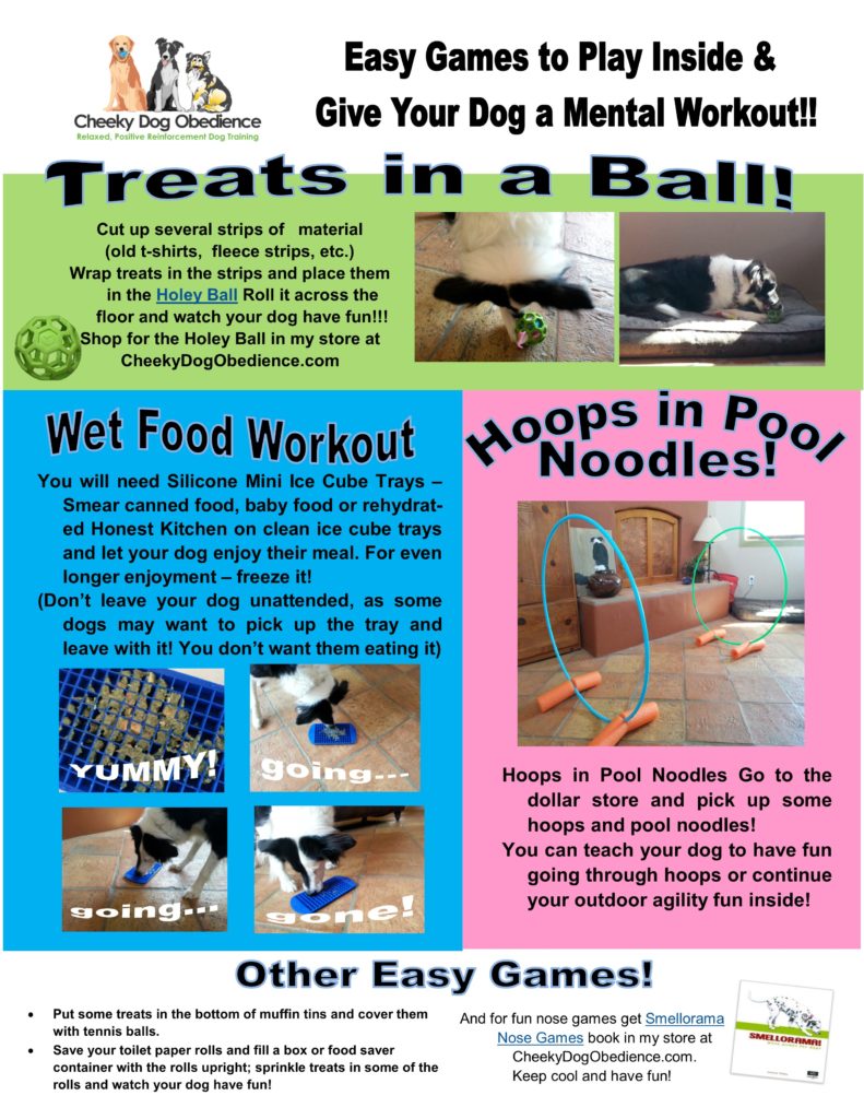 Indoor games for dogs