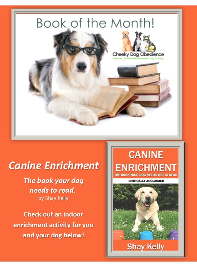 Canine-Enrichment-Book-Dog-Obedience