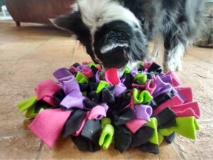 Snuffle Mat Snuffle Mat