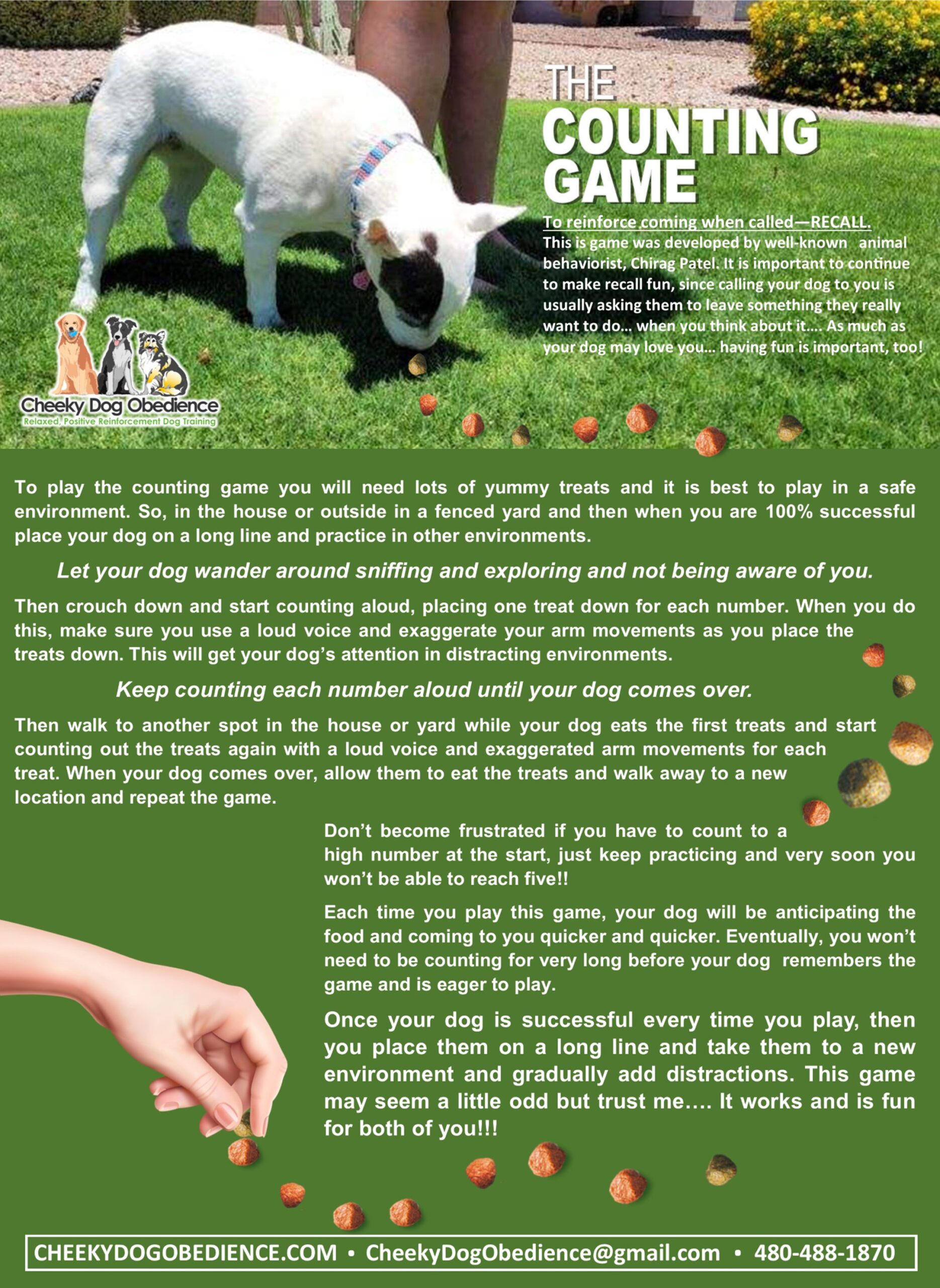 Counting Game Flyer