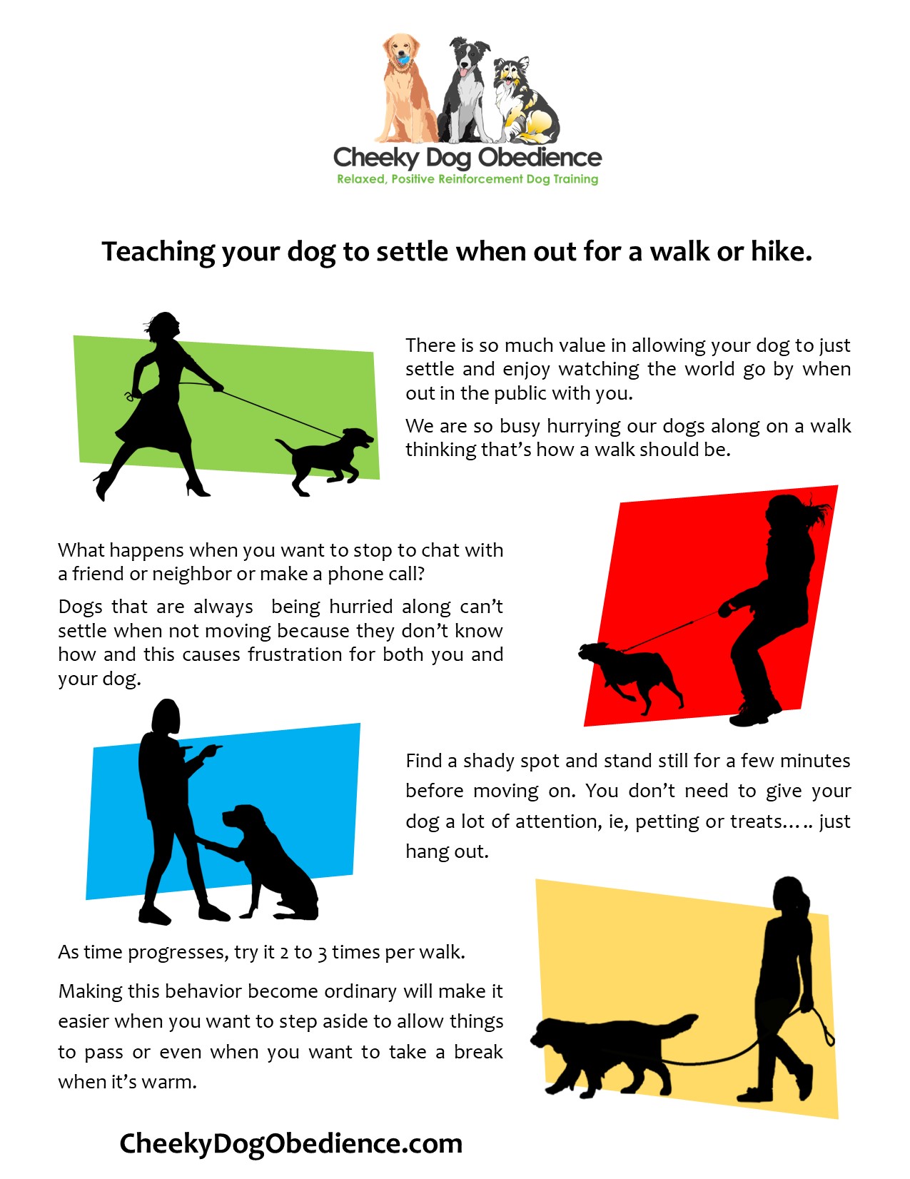 Teaching your dog to settle when walking