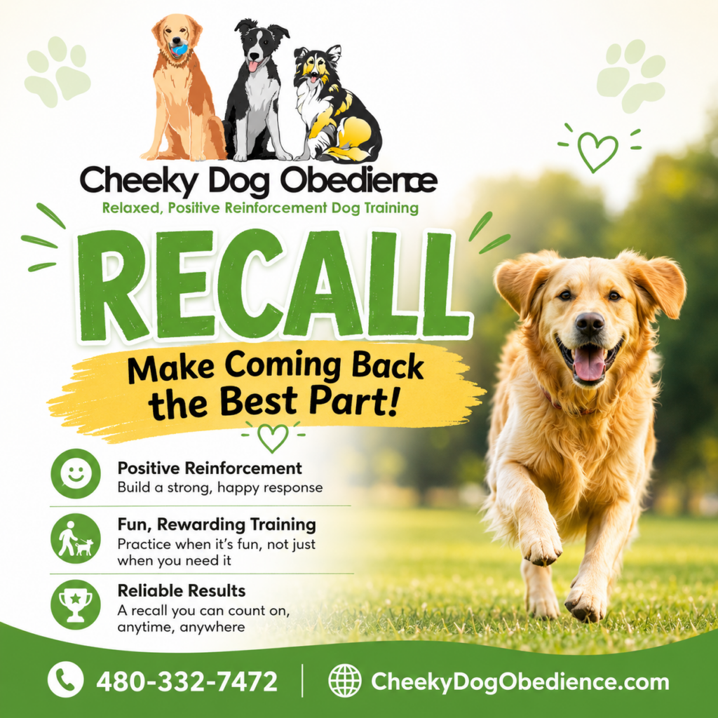 Cheeky Dog Obedience featured image showing a happy Golden Retriever running toward its owner with the text "Recall – Make Coming Back the Best Part!" promoting positive reinforcement dog recall training.