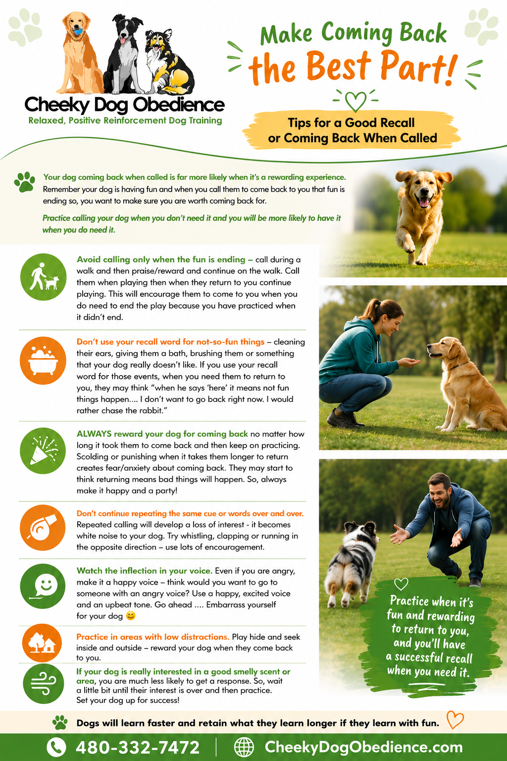Cheeky Dog Obedience infographic with positive reinforcement recall training tips, showing dogs responding to their owners and advice for teaching dogs to come when called.