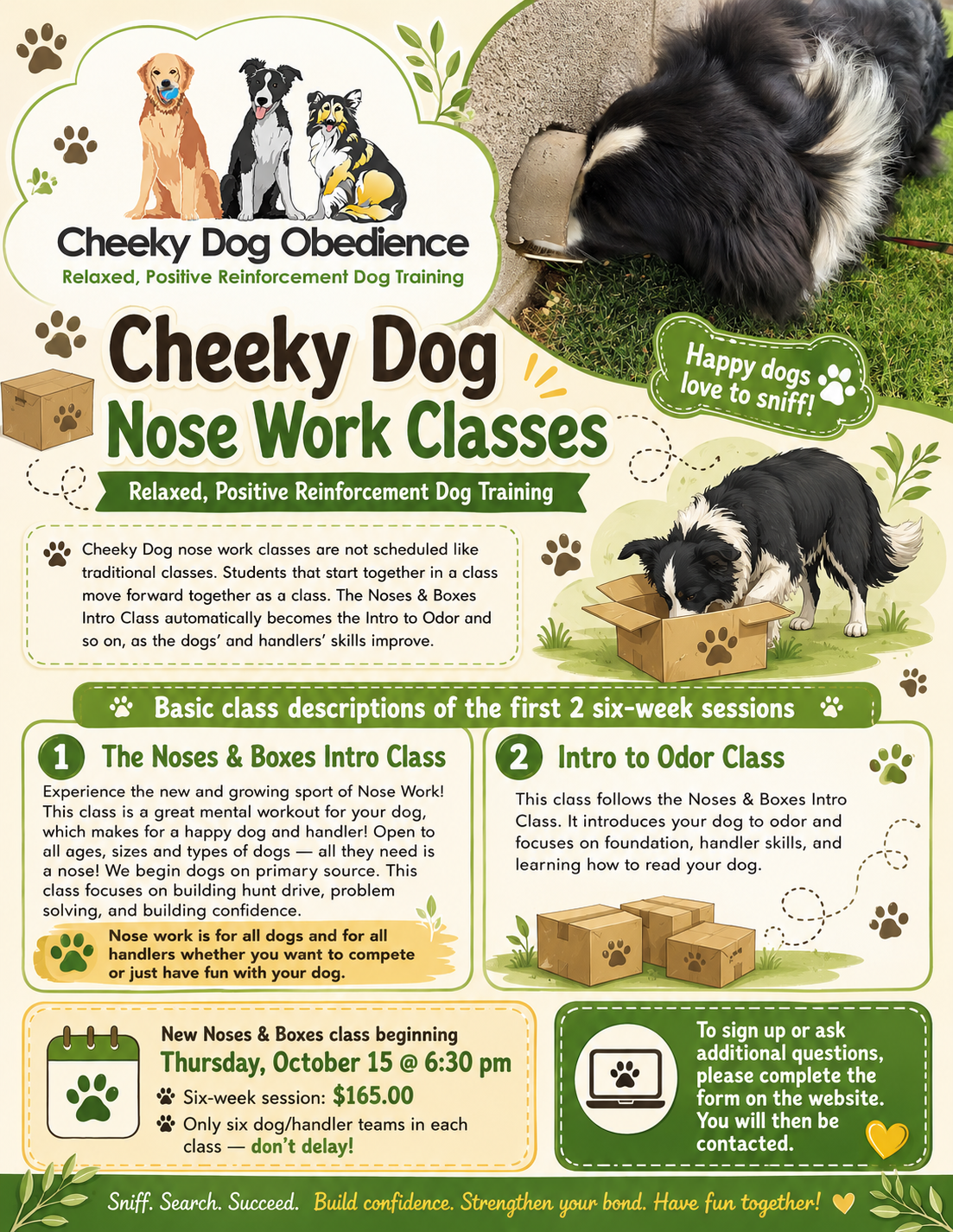 Cheeky Dog Obedience Nose Work Classes flyer featuring a black and white dog searching for scent, an illustrated dog sniffing a cardboard box, class descriptions, pricing and registration information.