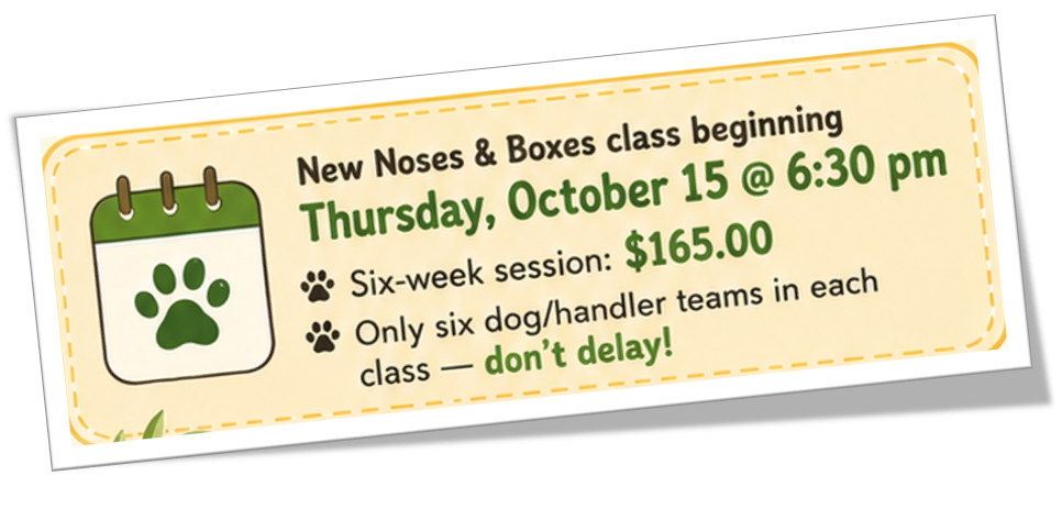 Cheeky Dog Obedience Nose Work Classes flyer featuring a black and white dog searching for scent, an illustrated dog sniffing a cardboard box, class descriptions, pricing and registration information.