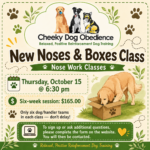 Cheeky Dog Obedience Nose Work Classes flyer featuring a black and white dog searching for scent, an illustrated dog sniffing a cardboard box, class descriptions, pricing and registration information.