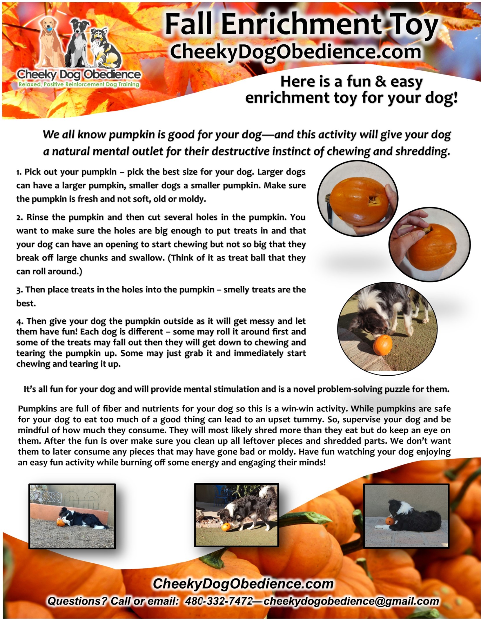 Cheeky Dog Obedience fall enrichment banner featuring three illustrated dogs, autumn leaves, pumpkins, and fun seasonal enrichment activities for dogs.