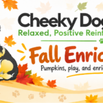 Cheeky Dog Obedience fall enrichment banner featuring three illustrated dogs, autumn leaves, pumpkins, and fun seasonal enrichment activities for dogs.