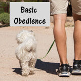 Basic Obedience Payment button